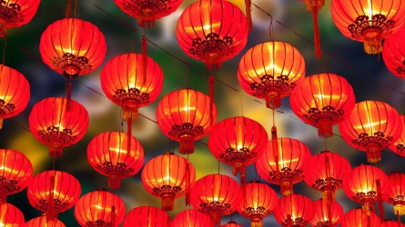 ����OG���˹ٷ����ż�ί��չ2022�괺�ڼ���ǰ���찵��